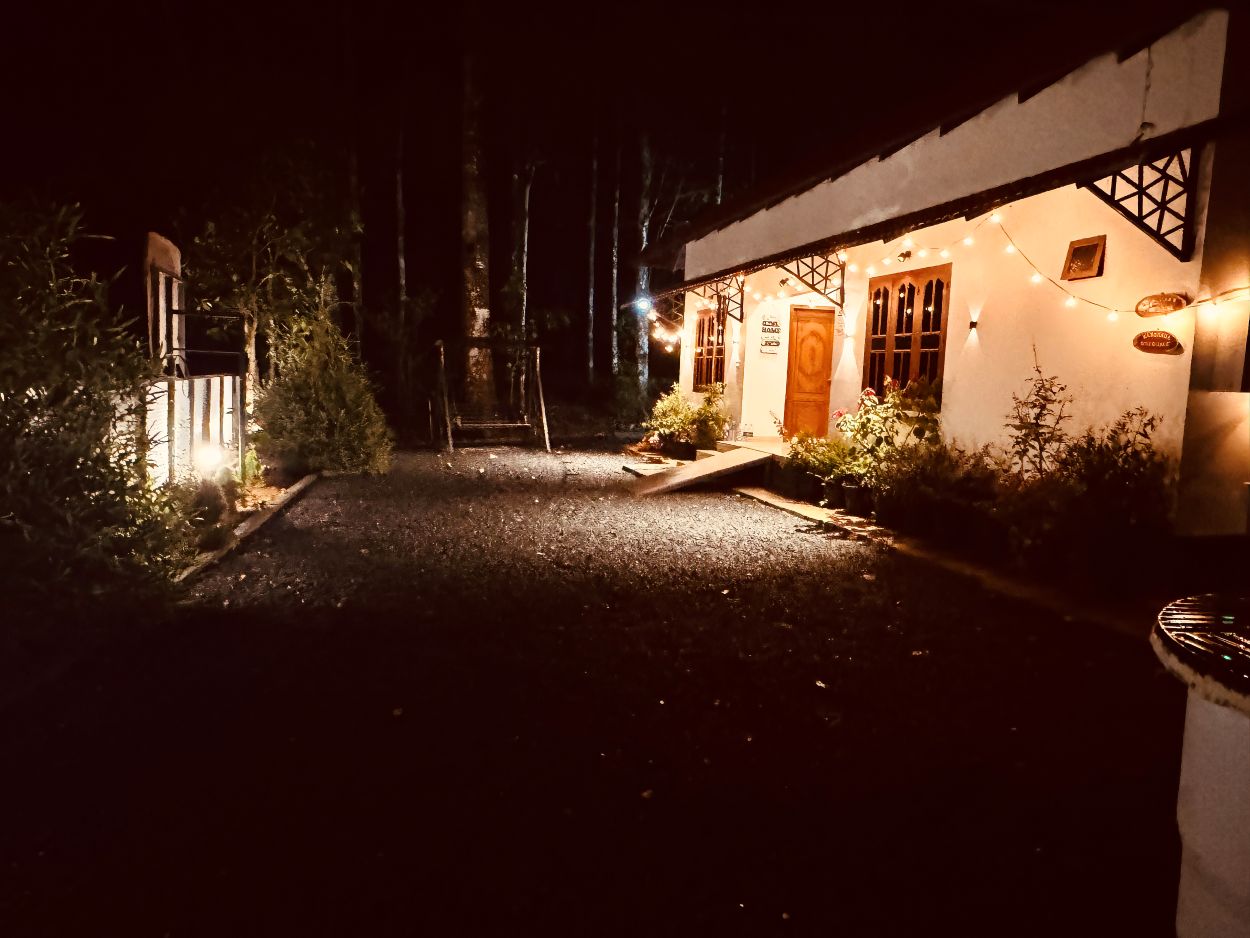 Mamoksha River Dale - Nightview