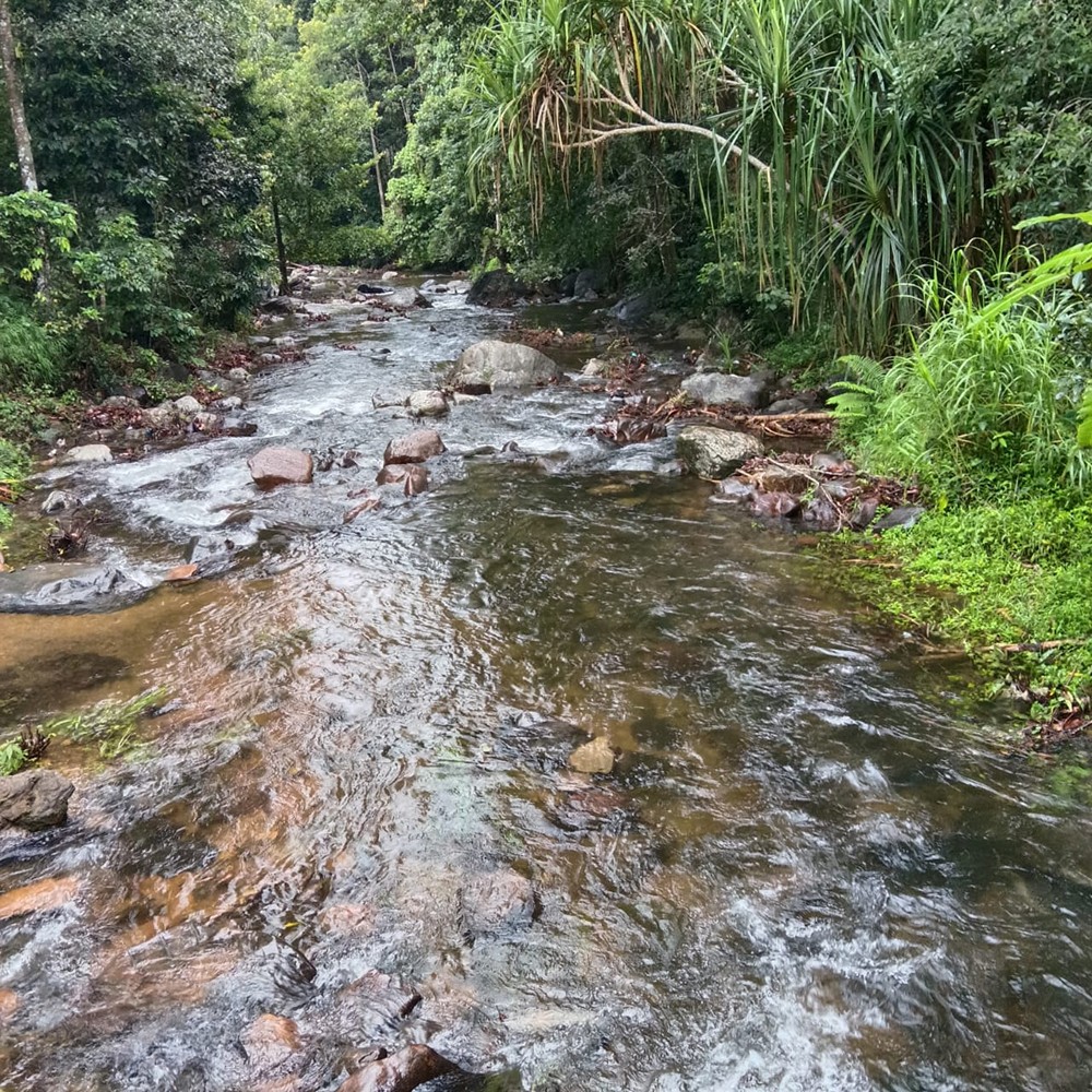 Mamoksha River Dale - River