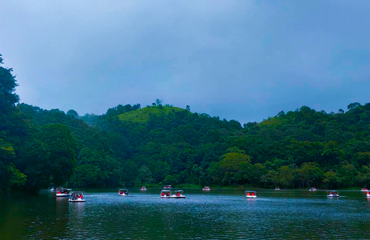 Pookode Lake